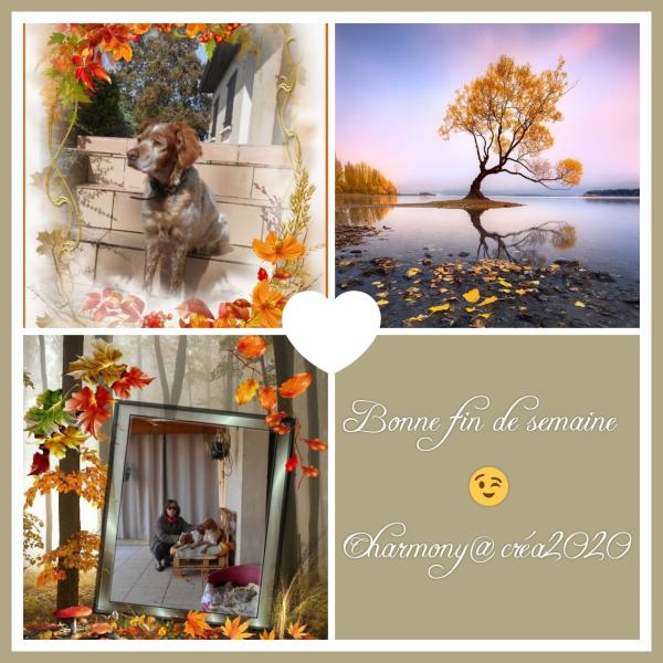 Bonne fin de semaine à tout le monde.