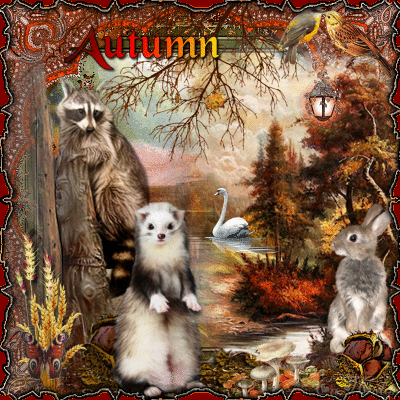 >. Automne nature<. ChP.O !♥!