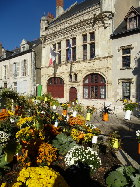 COULEURS D'AUTOMNE A BEAUGENCY