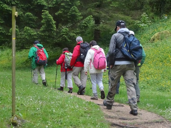 Une randonnée aux Sources de la Seine a été organisée par Châtillon-Scènes et les randonneurs de la MJC Lucie Aubrac