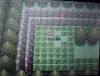 Obtenir Phyllali Et Givrali De Diamant Et Perle A X Et Y Evo Evoli