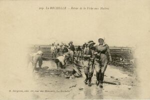 LA ROCHELLE - RETOUR DE LA PECHE AUX HUITRES - BERGEVIN 209 - 1919