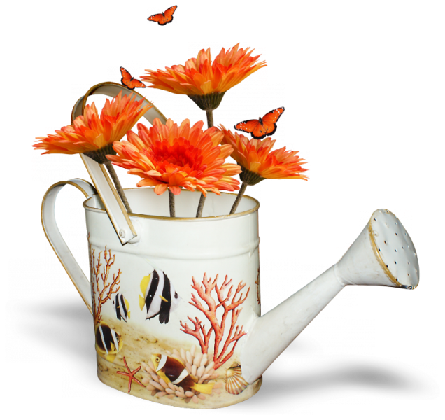 -4IjCmIDo7hvACmFqwePowW88Xo.png
