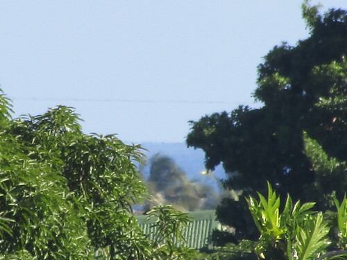 un bout de Marie Galante de la maison 