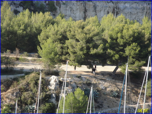 CASSIS.4