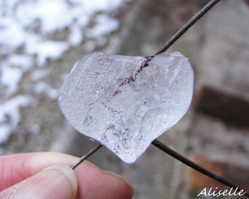 Coeur de glace février 2010 4