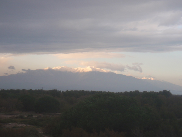 APRES LA TEMPETE DANS L'AUDE LE 1ER DECEMBRE 2014(la réserve de Sigean)