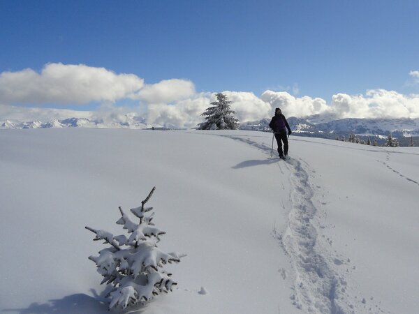 La Haute-Savoie sous la neige 