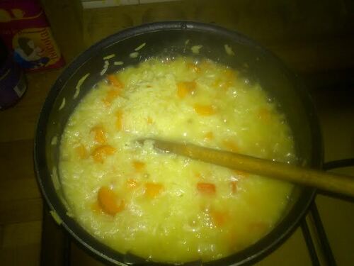 Risotto carottes/poivron et fromage de brebis