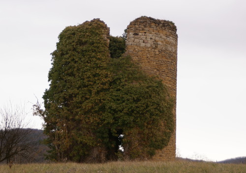 Auzat sur Allier.Randonnée du 30.01.2019.12 kms