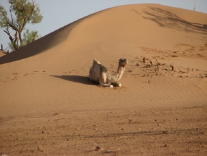 Photos à ajouter sur commentaires