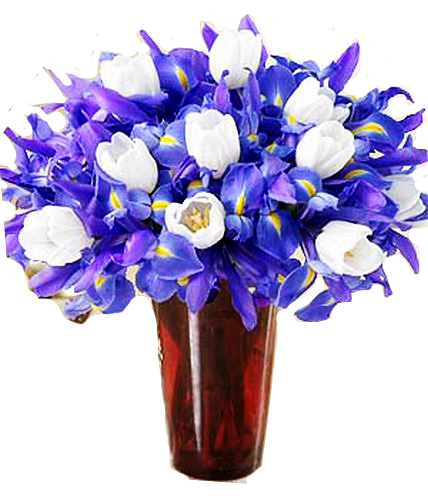 [Resim: -8aOX2uLQ8VePImc9mabRYNGt1E.png]