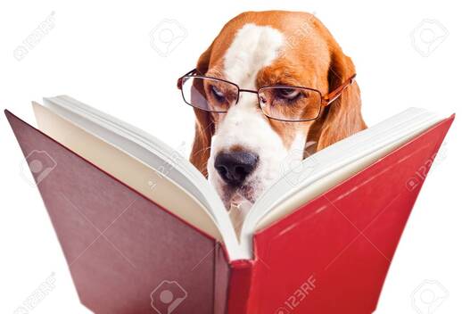 Résultat de recherche d'images pour "chien qui lit"