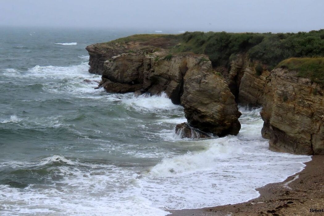 la pointe du Castelli - Piriac sur mer -2