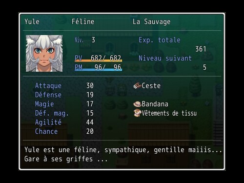 Quelques Personnages de RPG