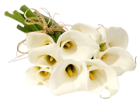 Un bouquet/Virágcsokor