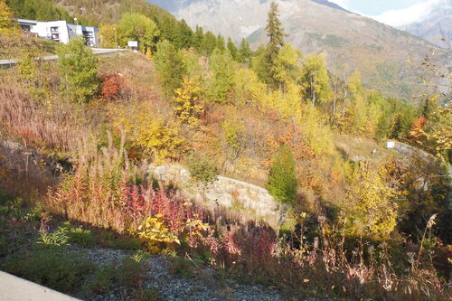 Les couleurs de l'automne à  Puy  St Vincent.