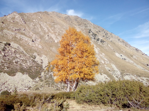 Bivouac (2 nuits) : coume de Campcardos (Cerdagne) - 66