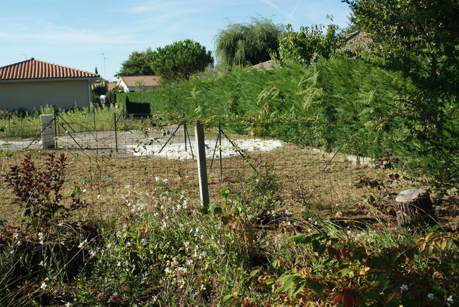 Mon jardin de lotissement, la preuve en images.