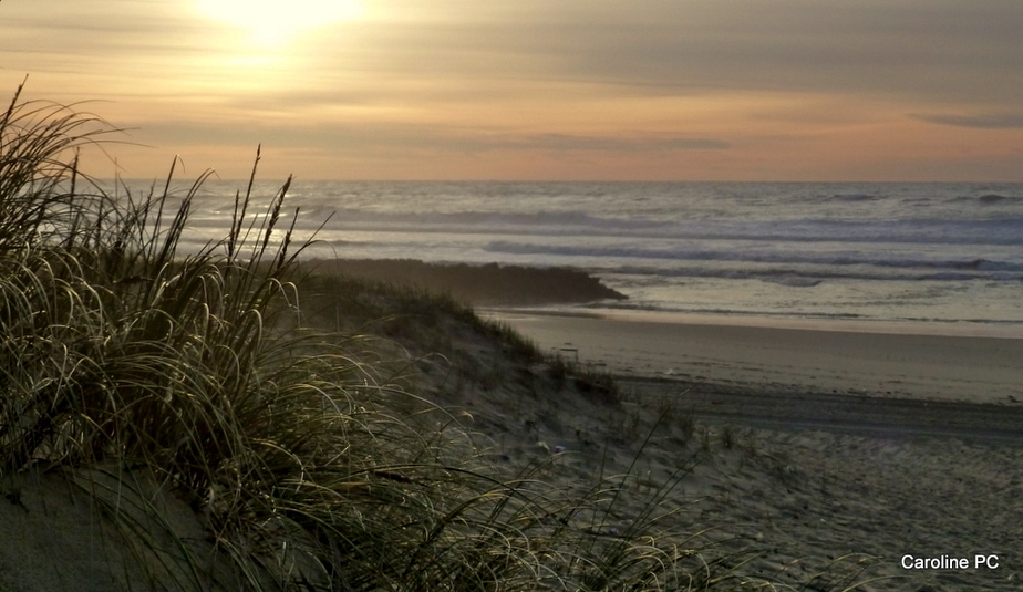 Promenade à Contis-plage