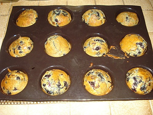 Muffins aux myrtilles 5