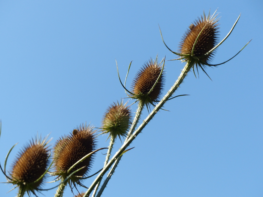 Le tour du jardin