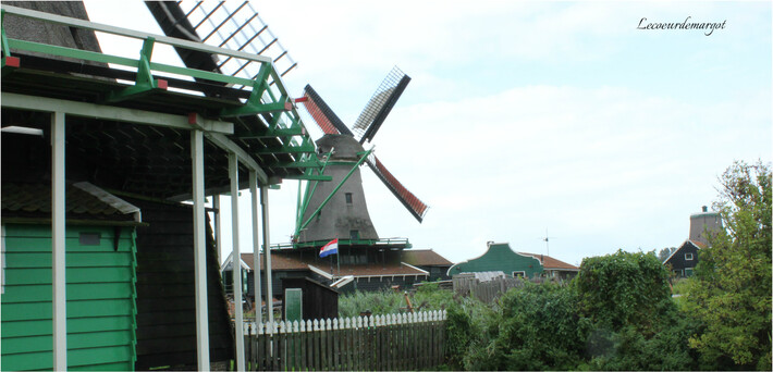 Les moulins de Zaanse Schans