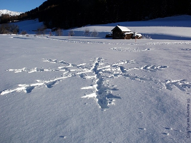 Flocon-de-neige-dessine-en-land-art.JPG