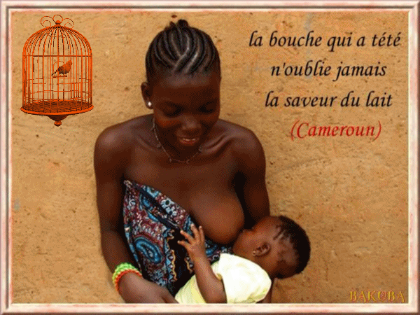 proverbe camerounais