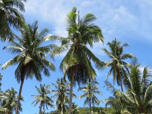 25 Juillet 2013 - Arrivée sur Ko Samui la jolie