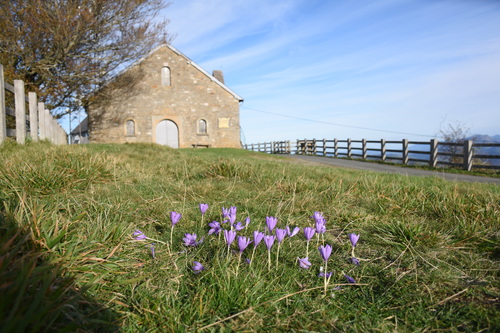  La Madeleine