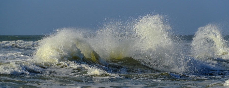 Vagues et plumes.