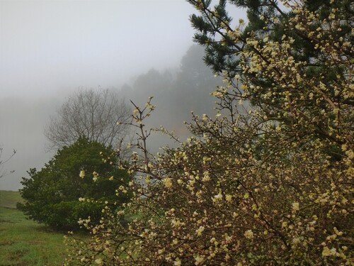 La photo du dimanche 