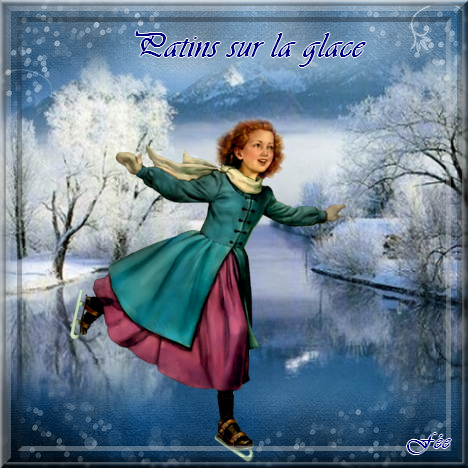 Défi " Patins sur la glace"