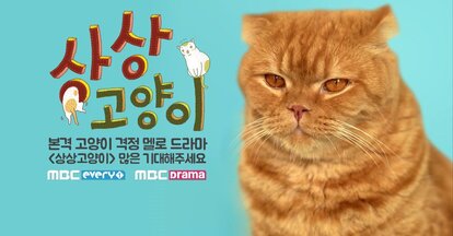 Imaginary Cat (K web drama)