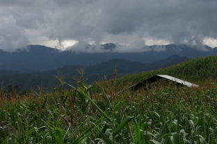 Sur le bord du chemin...