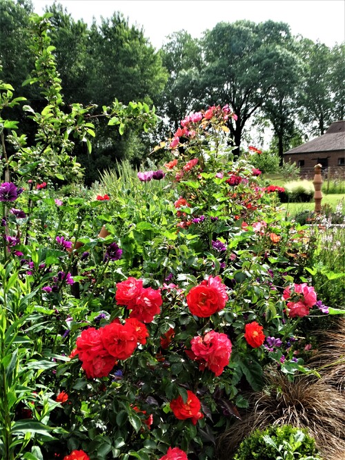 Tons chauds dans le nouveau jardin