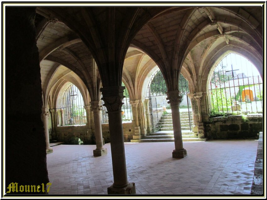 L'Abbaye de Fontdouce à St Bris des Bois (17)
