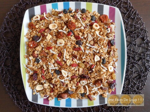 Granola vitalité aux fruits secs