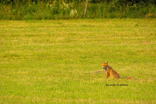 Rencontre furtive