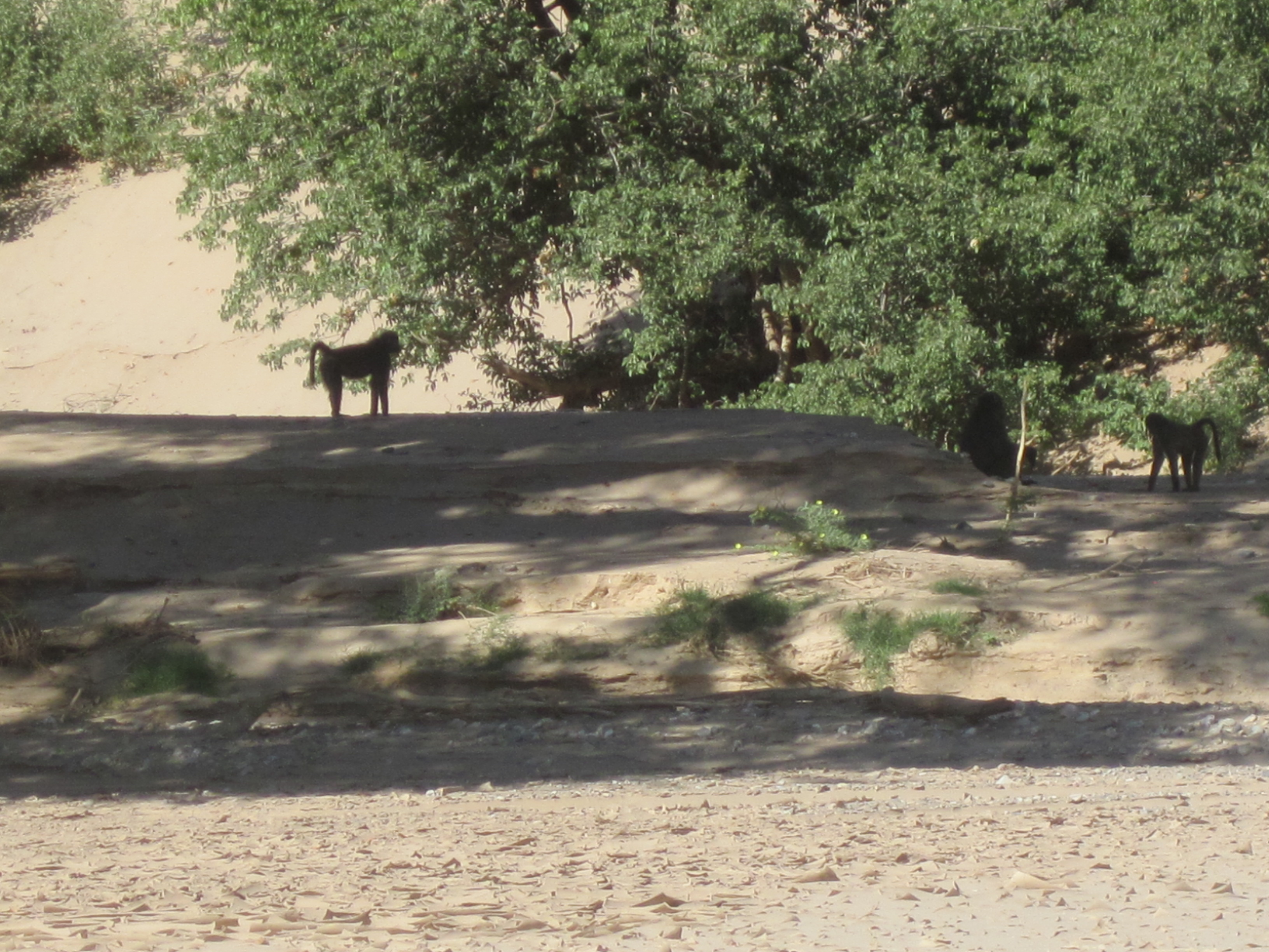 Dans Hoanib River