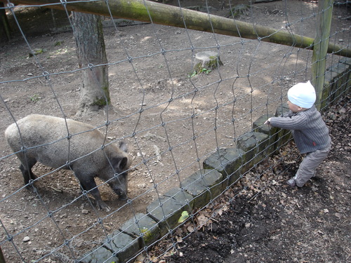 Le parc à gibier