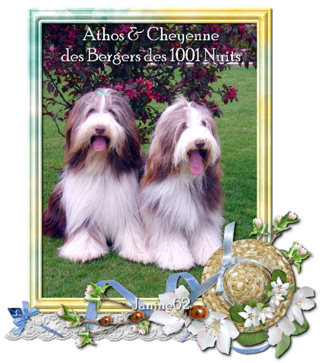 Athos & Cheyenne
