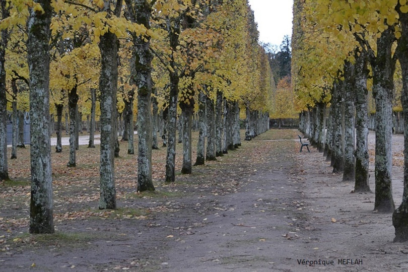 11 novembre 1918 - 11 novembre 2018 : centenaire de l’armistice 