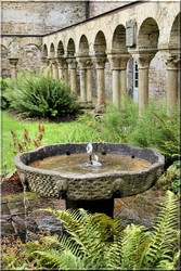 L'eau dans les Abbayes fontaines bassins lavoirs puits