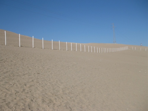 dune et clôture