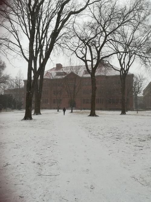 Harvard sous la neige