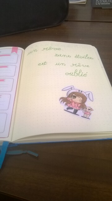 Nouveau Bujo