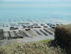 Cancale