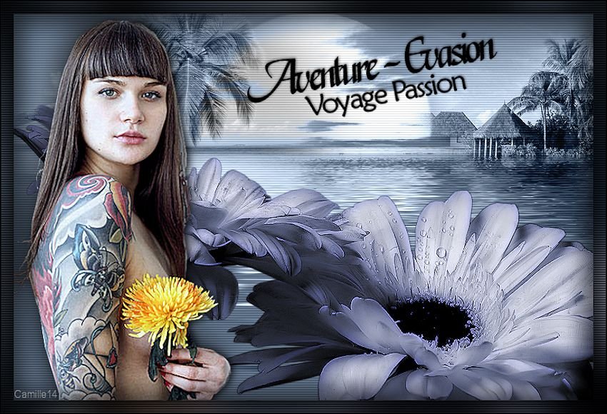 Voyage passion - Page 2 191111111059920421